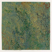 藏品(彩)的圖片