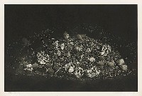 藏品(靜謐之林)的圖片