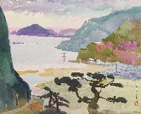 藏品(北方澳)的圖片