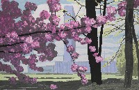 藏品(聯合國與花)的圖片