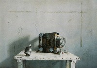 藏品(整個世紀最淒涼的青春)的圖片