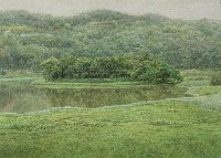 藏品(青草湖的早晨)的圖片