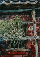 藏品(曬太陽)的圖片