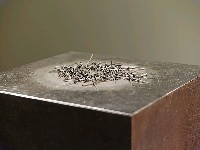 藏品(喋)的圖片