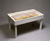 藏品(作品第七號:文件一)的圖片