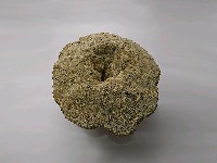 藏品(漩)的圖片