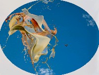 藏品(去非洲)的圖片