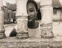 藏品(羞怯)的圖片