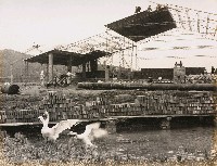 藏品(建築工事)的圖片