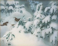 藏品(雪韻(七))的圖片