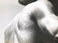 藏品(肩)的圖片