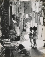 藏品(後街生活)的圖片