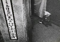 藏品(童心)的圖片