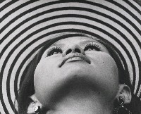 藏品(仰望)的圖片