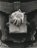 藏品(遺棄)的圖片