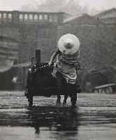 藏品(為誰辛苦為誰忙)的圖片