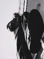 藏品(當今社會)的圖片