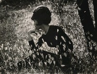 藏品(秋意)的圖片