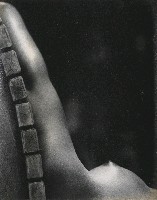 藏品(另一種視覺)的圖片