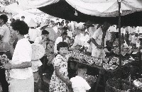 藏品(三峽系列-25)的圖片