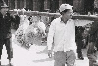 藏品(三峽系列-26)的圖片