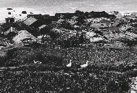 藏品(蘭嶼．再見系列-6)的圖片