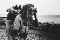 藏品(蘭嶼．再見系列-7)的圖片