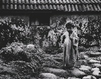 藏品(蘭嶼．再見系列-9)的圖片