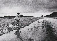 藏品(蘭嶼．再見系列-10)的圖片