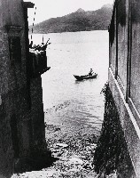 藏品(淡水河濱地帶)的圖片