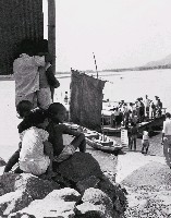 藏品(淡水河口)的圖片