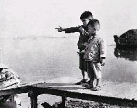 藏品(頑童)的圖片