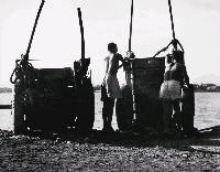 藏品(農車)的圖片