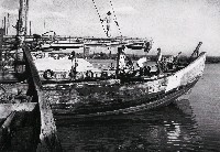 藏品(淡水河上)的圖片