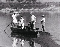 藏品(渡船)的圖片