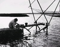 藏品(漁家婦女工作忙)的圖片