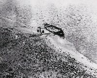 藏品(水肥船)的圖片