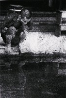 藏品(龍發堂系列-20)的圖片