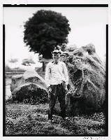 藏品(時代的臉系列-林淵)的圖片