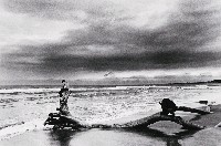 藏品(解嚴前後系列-6)的圖片