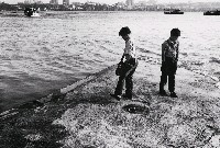 藏品(解嚴前後系列-8)的圖片