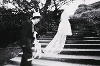 藏品(解嚴前後系列-20)的圖片