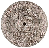 藏品(走在花的夢境)的圖片