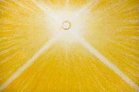 藏品(白日)的圖片