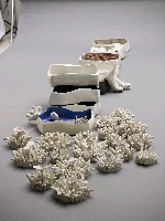 藏品(抽屜用強壯的外殼藏匿瑣碎的真實)的圖片