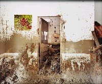 藏品(莫拉克 南沙魯)的圖片