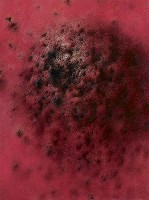 藏品(觀察紀錄-7)的圖片