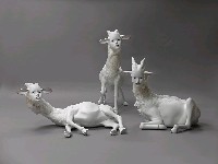 藏品(The Dolly)的圖片