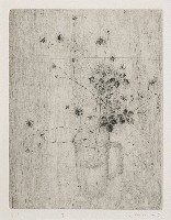 藏品(芳草)的圖片