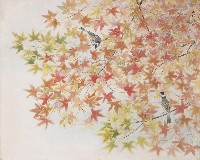 藏品(白頭嘻秋)的圖片